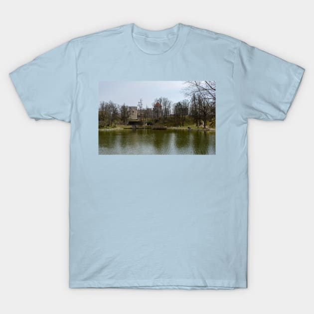 The pond and ruins of medieval castle T-Shirt by lena-maximova